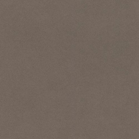 Обои Rasch Crispy Paper 527049