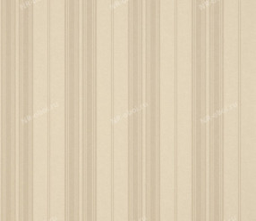Обои Thibaut Menswear Resource (T1065)